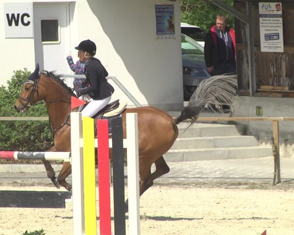 Reitturnier Ingolstadt-Hagau 2019