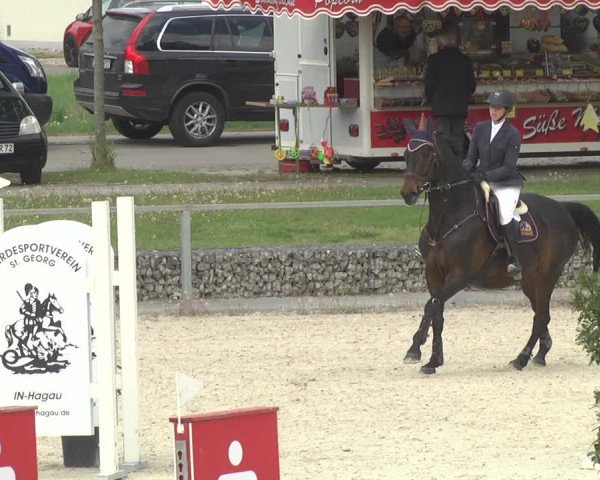 Reitturnier Ingolstadt-Hagau 2019