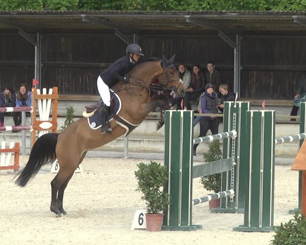 Reitturnier Ingolstadt-Hagau 2019