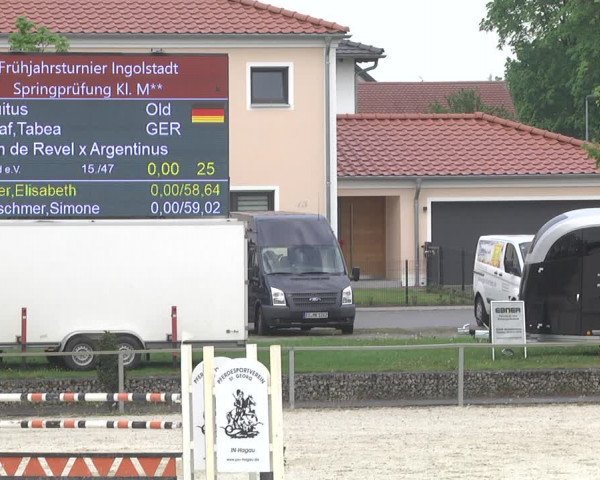 Reitturnier Ingolstadt-Hagau 2019