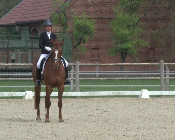 Reitturnier Warendorf, Reitstall am Rothenbach 2019