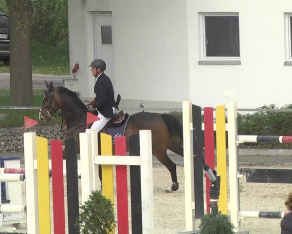 Reitturnier Ingolstadt-Hagau 2019
