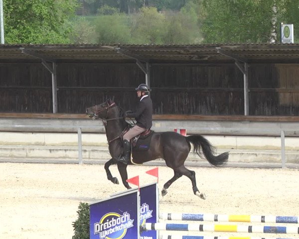 Reitturnier Ingolstadt-Hagau 2019