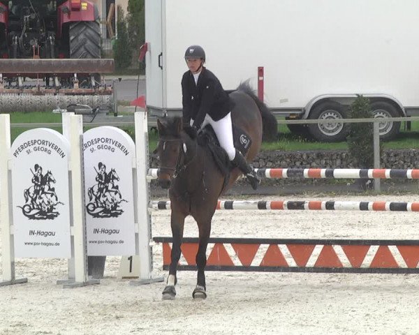 Reitturnier Ingolstadt-Hagau 2019