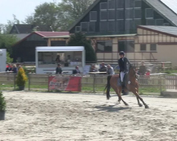 Reitturnier Schülp / Rendsburg 2019