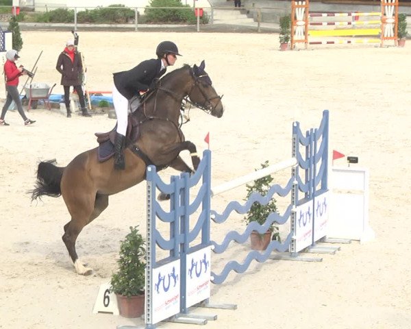 Reitturnier Ingolstadt-Hagau 2019
