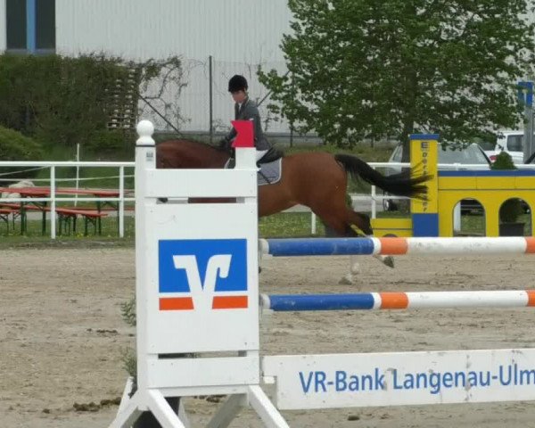Reitturnier Langenau 2019