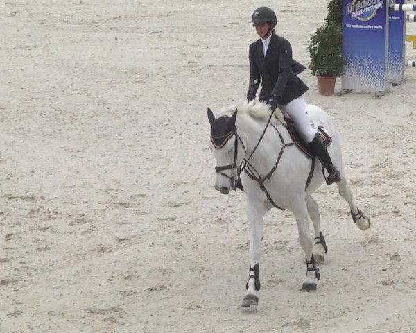 Reitturnier Ingolstadt-Hagau 2019