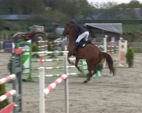 Reitturnier Schülp / Rendsburg 2019