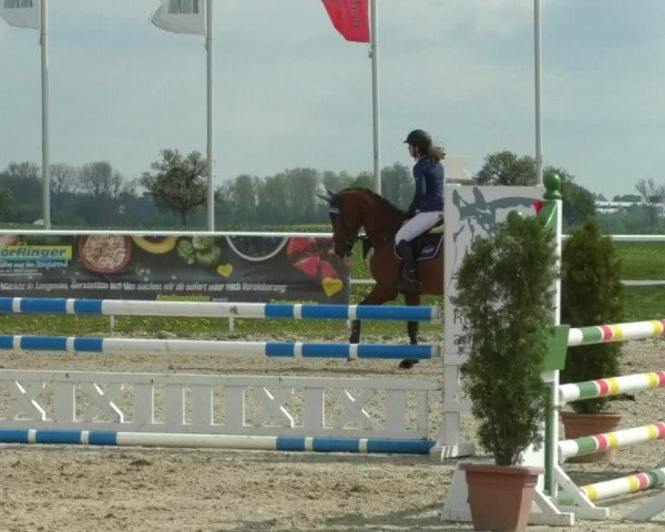 Reitturnier Langenau 2019