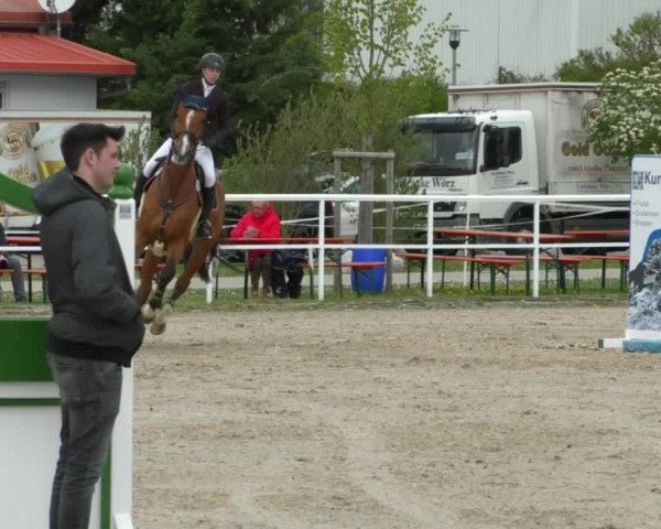 Reitturnier Langenau 2019