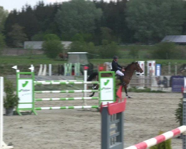 Reitturnier Schülp / Rendsburg 2019