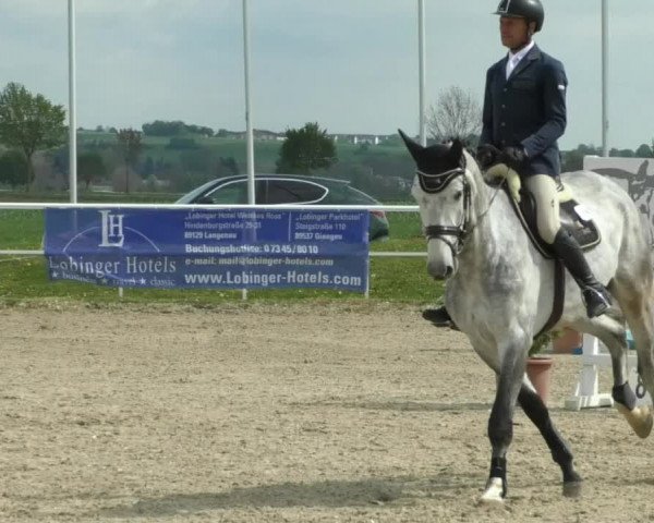 Reitturnier Langenau 2019