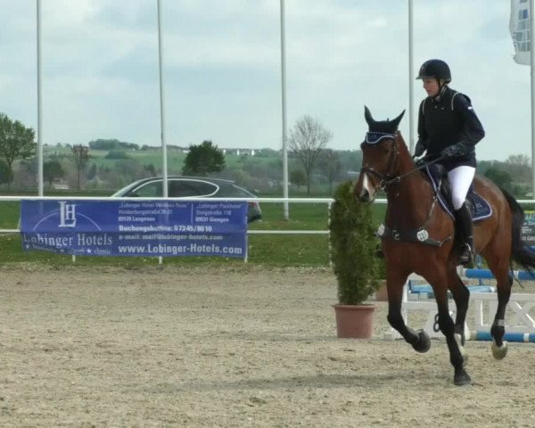 Reitturnier Langenau 2019