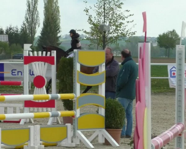 Reitturnier Langenau 2019