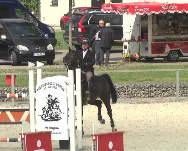 Reitturnier Ingolstadt-Hagau 2019