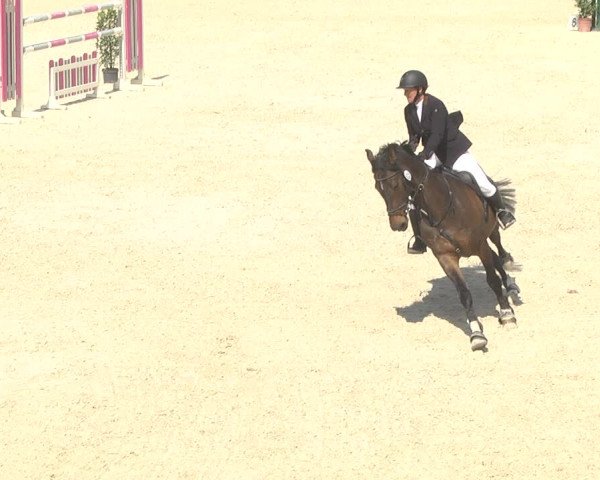 Reitturnier Ingolstadt-Hagau 2019