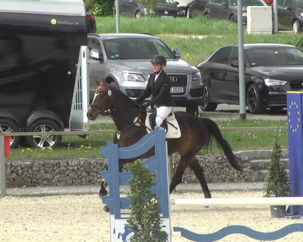 Reitturnier Ingolstadt-Hagau 2019