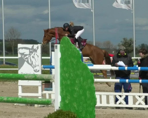 Reitturnier Langenau 2019