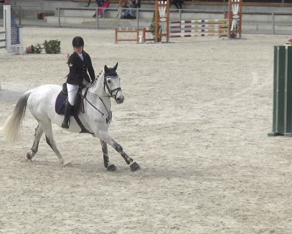 Reitturnier Ingolstadt-Hagau 2019