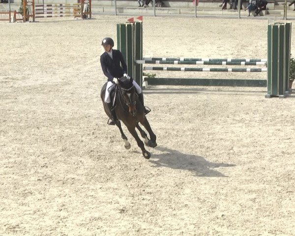 Reitturnier Ingolstadt-Hagau 2019