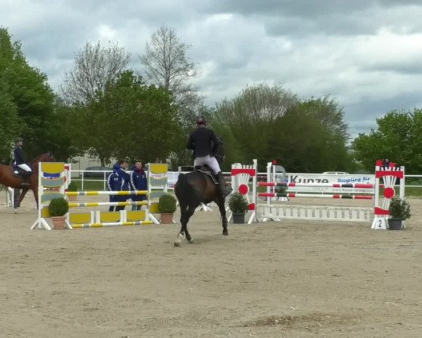 Reitturnier Langenau 2019