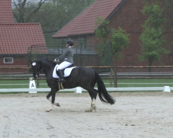 Reitturnier Warendorf, Reitstall am Rothenbach 2019