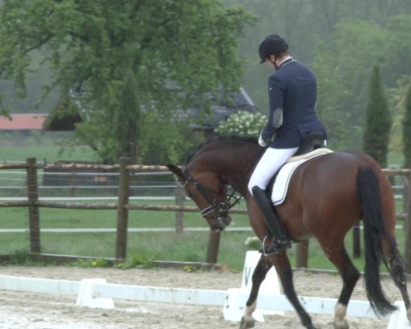Reitturnier Warendorf, Reitstall am Rothenbach 2019