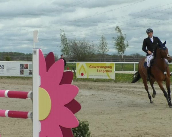 Reitturnier Langenau 2019