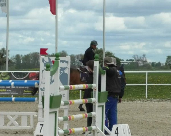 Reitturnier Langenau 2019