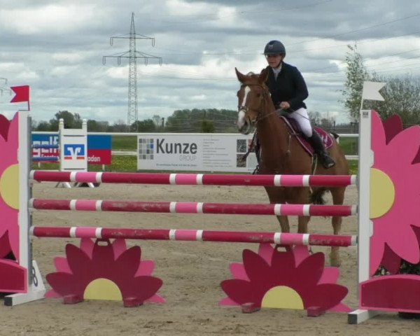 Reitturnier Langenau 2019