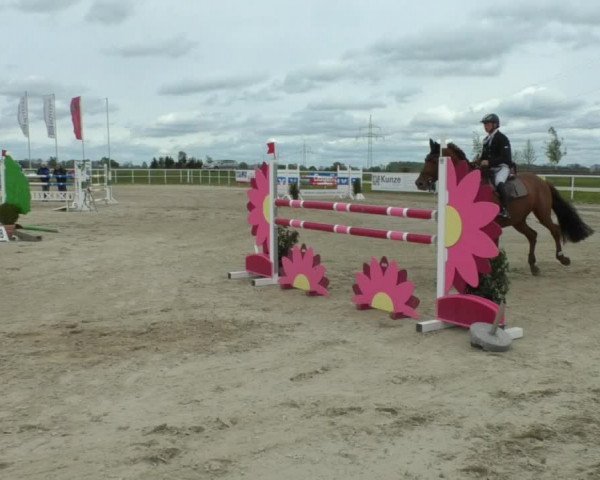 Reitturnier Langenau 2019