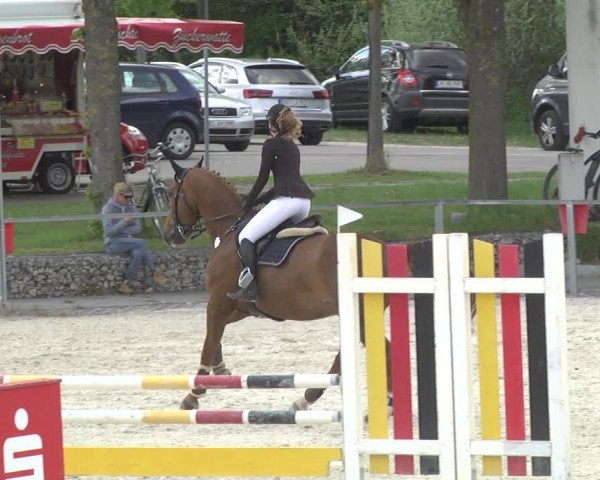 Reitturnier Ingolstadt-Hagau 2019
