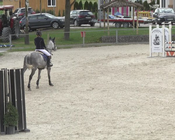 Reitturnier Ingolstadt-Hagau 2019