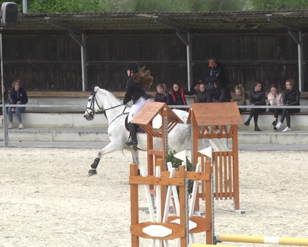 Reitturnier Ingolstadt-Hagau 2019