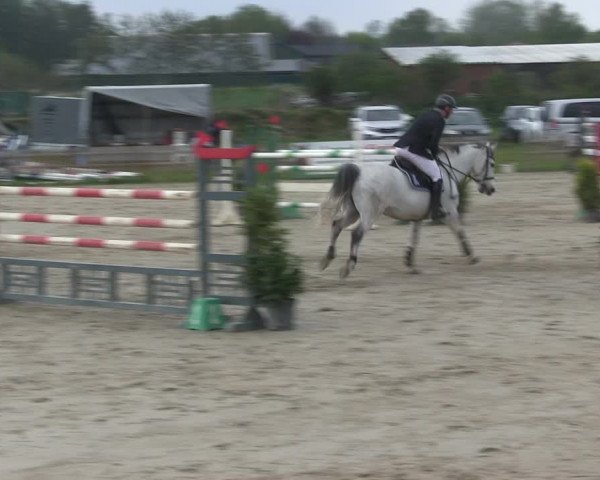 Reitturnier Schülp / Rendsburg 2019