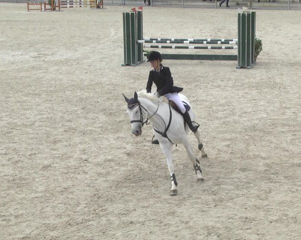 Reitturnier Ingolstadt-Hagau 2019