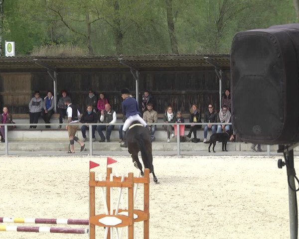 Reitturnier Ingolstadt-Hagau 2019