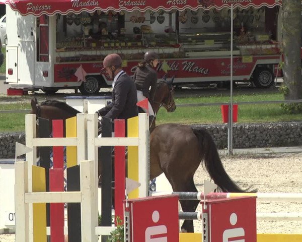 Reitturnier Ingolstadt-Hagau 2019