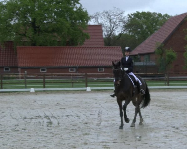 Reitturnier Warendorf, Reitstall am Rothenbach 2019