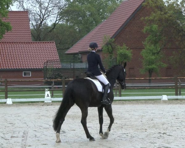 Reitturnier Warendorf, Reitstall am Rothenbach 2019