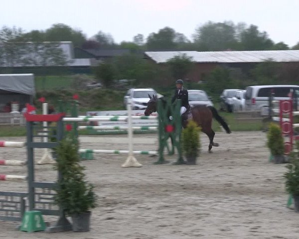 Reitturnier Schülp / Rendsburg 2019