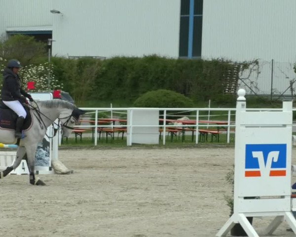 Reitturnier Langenau 2019