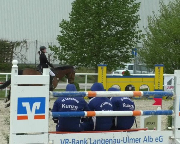 Reitturnier Langenau 2019