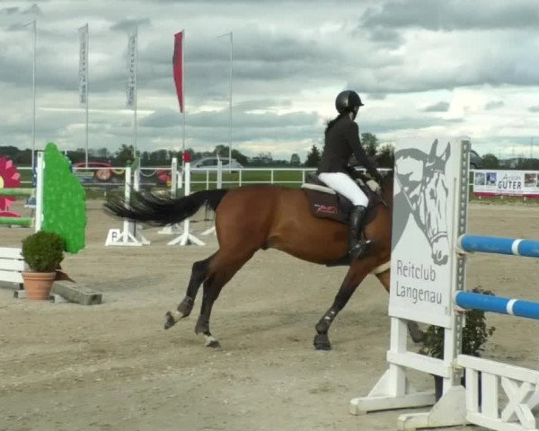 Reitturnier Langenau 2019