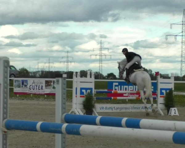 Reitturnier Langenau 2019
