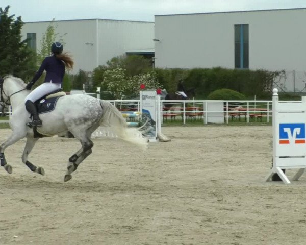 Reitturnier Langenau 2019