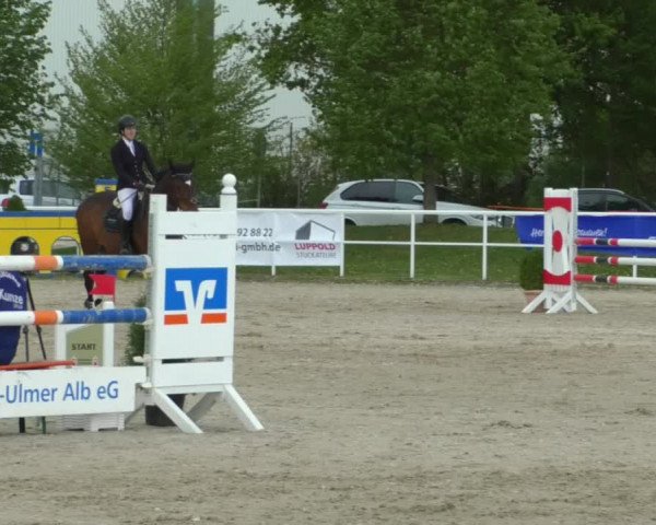 Reitturnier Langenau 2019