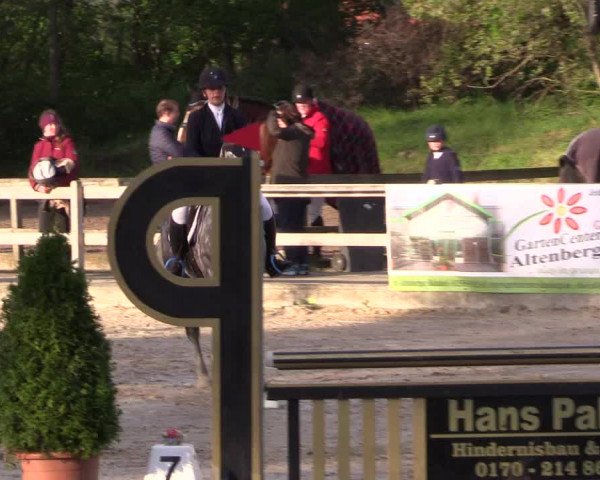 Reitturnier Nienberge 2019