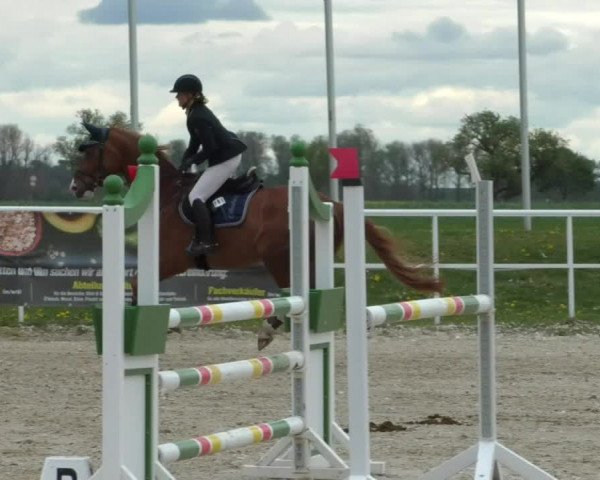 Reitturnier Langenau 2019